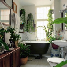 ¿Qué plantas elegir para el baño? -0