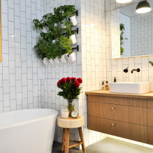 ¿Qué plantas elegir para el baño? -3