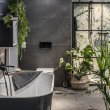 ¿Qué plantas elegir para el baño? -5