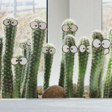 Home cacti-0