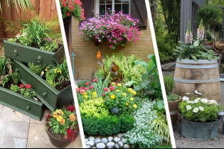 Hermosas ideas para macizos de flores en el patio de una casa privada.