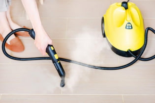 6 na katotohanan para at laban sa pagbili ng isang steam cleaner