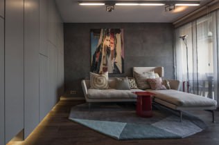 Interior masculino: diseño de apartamento de soltero 40 metros cuadrados.