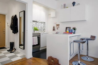 Disenyo studio apartment 27 sq. m