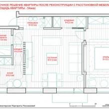 Disposición y diseño de un apartamento de 54 m2. m-18